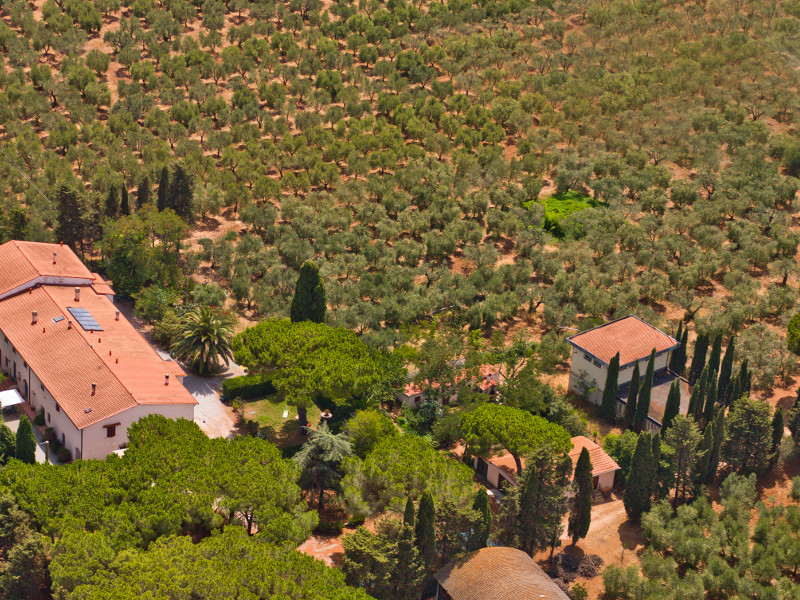 Azienda Agricola Antichi Palmenti